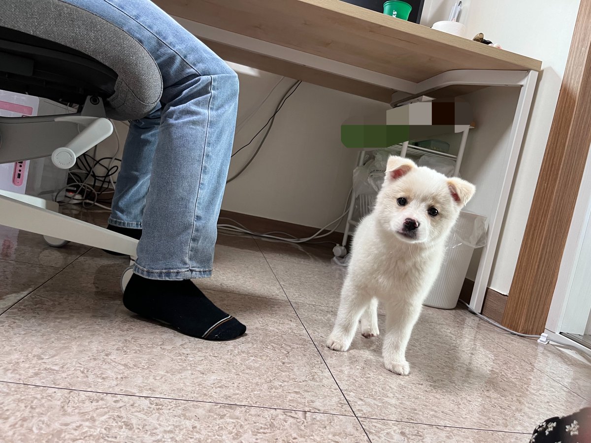 tyaxjfsla1's tweet photo. 아기 https://t.co/xiBjXGkUQP