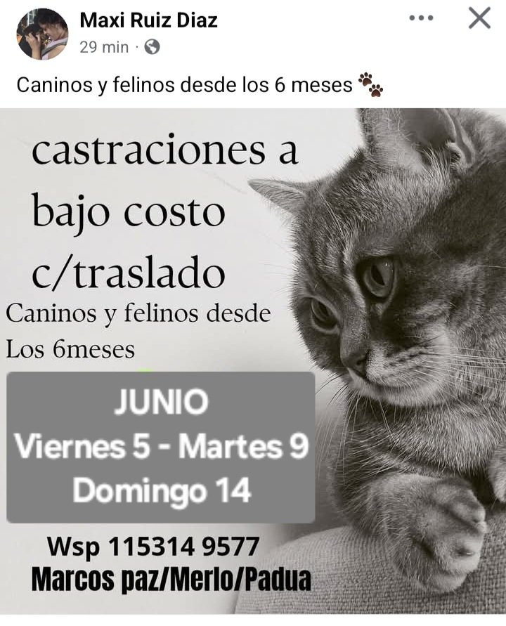 protegealanimal's tweet photo. MARCOS PAZ   
#MARCOSPAZ #BARRIOLAPAZ #LAPAZ #BARRIOELPRADO #ELPRADO #BARRIOSANEDUARDO #ELÍASROMERO #SANTAROSA #LACAPILLA #SANTACATALINA #LISANDRODELATORRE #SANTAMARTA #LUCERO #BARRIOLUCERO 
MERLO
#MERLO #AGUSTÍNFERRARI #MARIANOACOSTA #PADUA
#ZONAOESTE #GRANBSAS #BSAS #CONURBANO https://t.co/c5KKj1bmDp