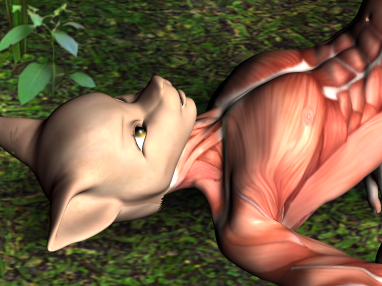 Ryotsuke's tweet photo. Artists: OMG I'm so waiting for that NEW beta software that allows to put human model in a pose for a ref! Pls! Come sooner

Meanwhile me in 2009 and Poser/Daz3D

(But I admit a fresh one should be nice) https://t.co/tURYmgdMvT
