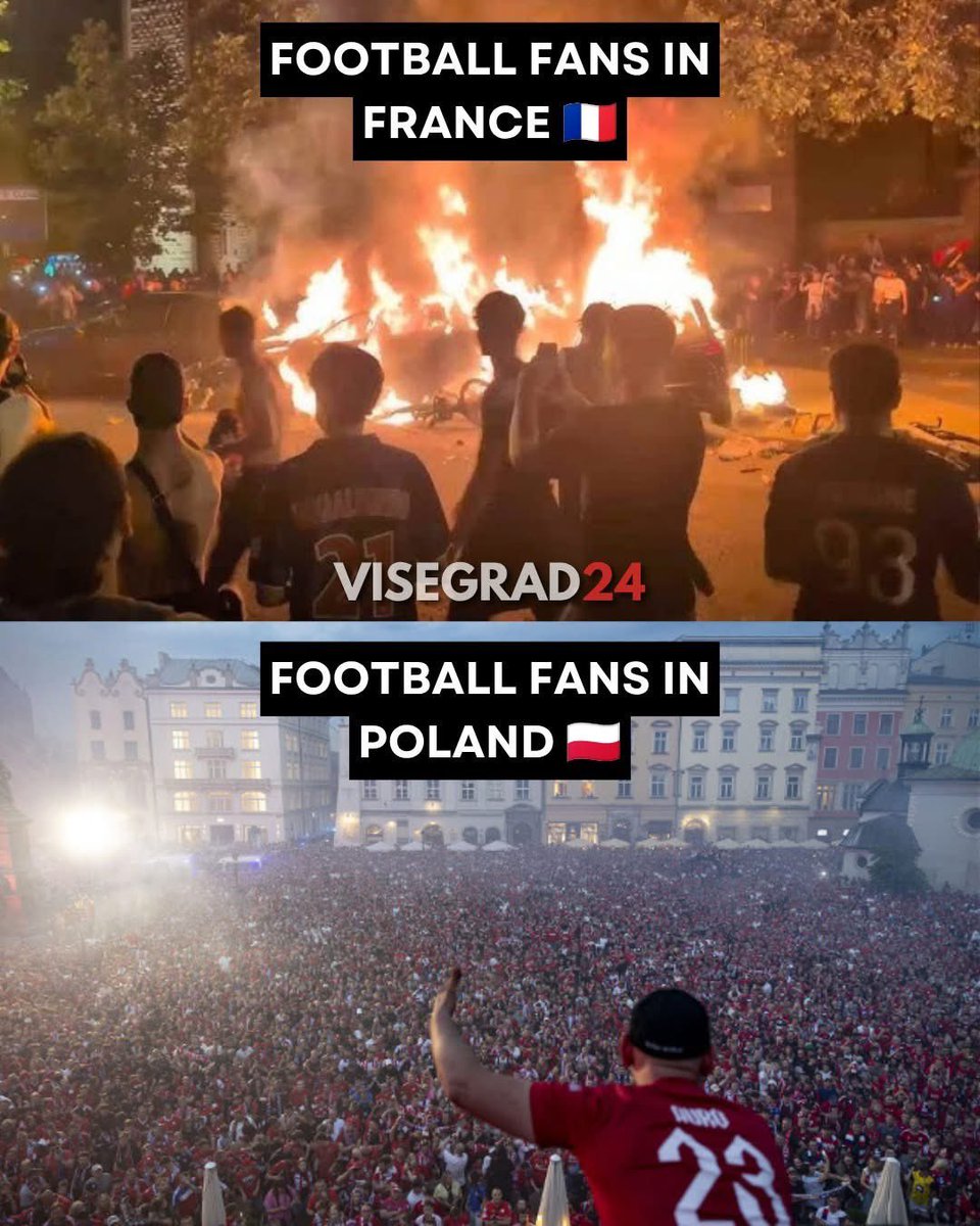 D_Tarczynski tweet picture