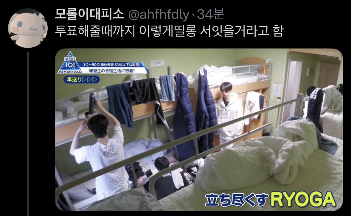 모롤이대피소 tweet media