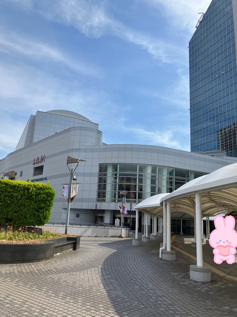 ぬいにゃん🌈🐉⛩♥️音楽は永遠 tweet media