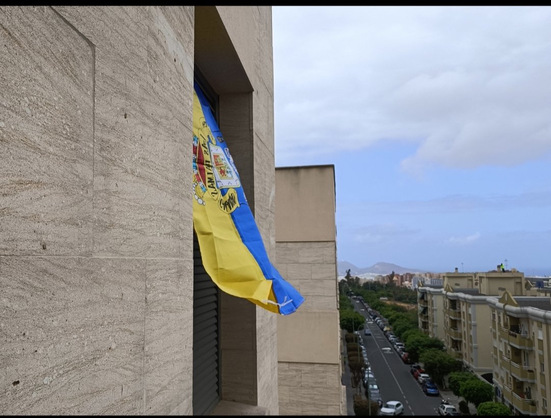 dePuntuuo's tweet photo. Ya he visto algunas en las ventanas. Que tal si nos animamos  a poner la nuestra !!? 💛💙 @_CANES_ @ElNuevoInsular https://t.co/ag48FemXeJ