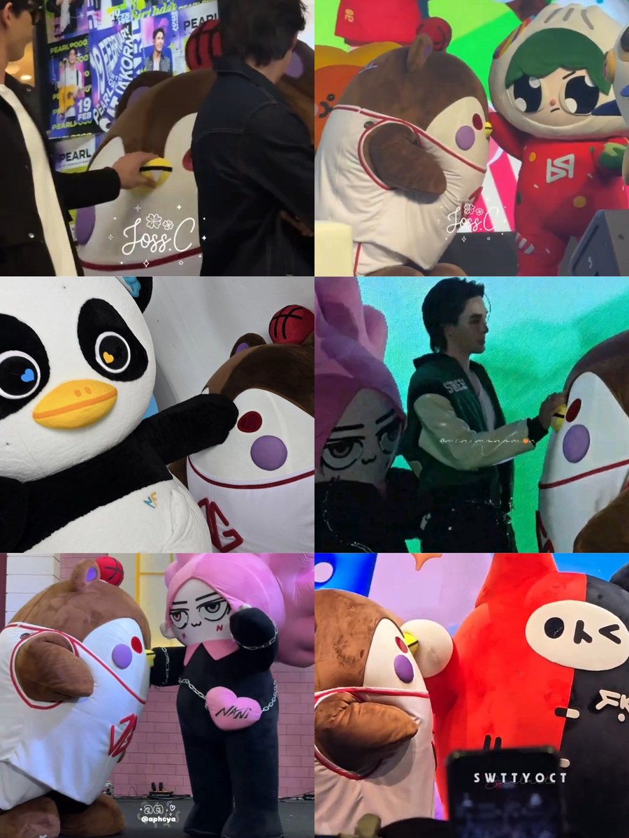 What🐻🐧 tweet media