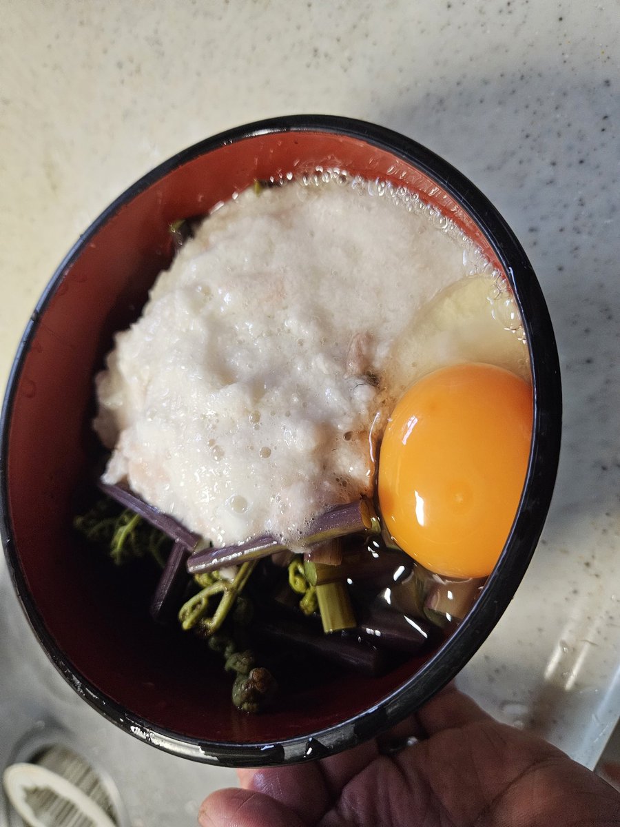 tommy8vice's tweet photo. 山菜の蕨に山芋、生卵トッピング。味付けはめんつゆ。味は、、、イケる！ https://t.co/U70WiS89kl