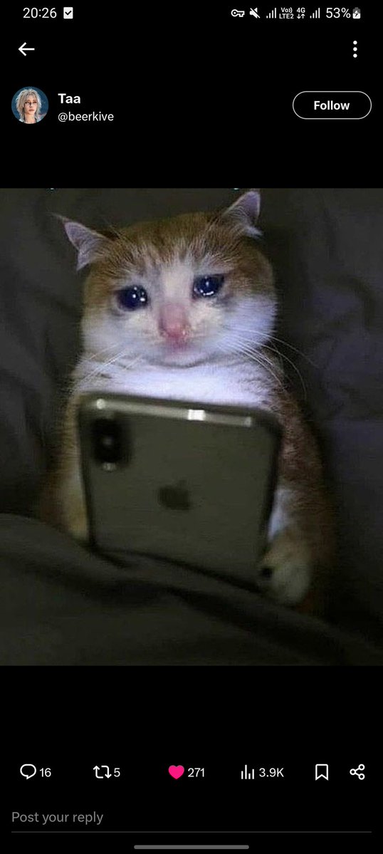 𝑺𝑻𝑨𝑹★ tweet media