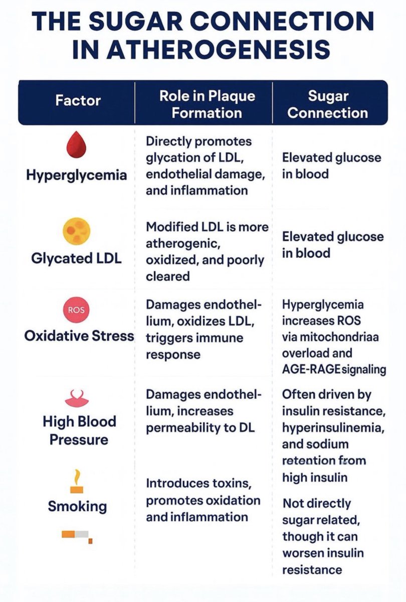 CaryKelly11's tweet photo. Doc: Your LDL is 220! I’m tempted to call an ambulance. 

Me: LDL isn’t golf. 

Doc: Maybe it’s time to try Statins? 

Me: Let me ask you this? Is my LDL glycated?

Doc: Huh?

Me: Glycated LDL is a sign of heart disease and the pill for that is the meat pill aka quit eating sugar.

Doc: We don’t test for that.

Me: LDL is not a disease but a high sugar diet can make it become diseased.
