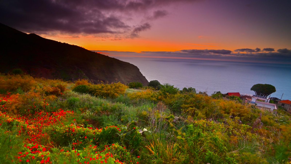 Radio_Luz_'s tweet photo. 🌀💫 Villa de #Garafía 🌿🌼#LoNatural 🐦 #LaPalma [📸 Ángel Roc] https://t.co/dAcRILzdk1