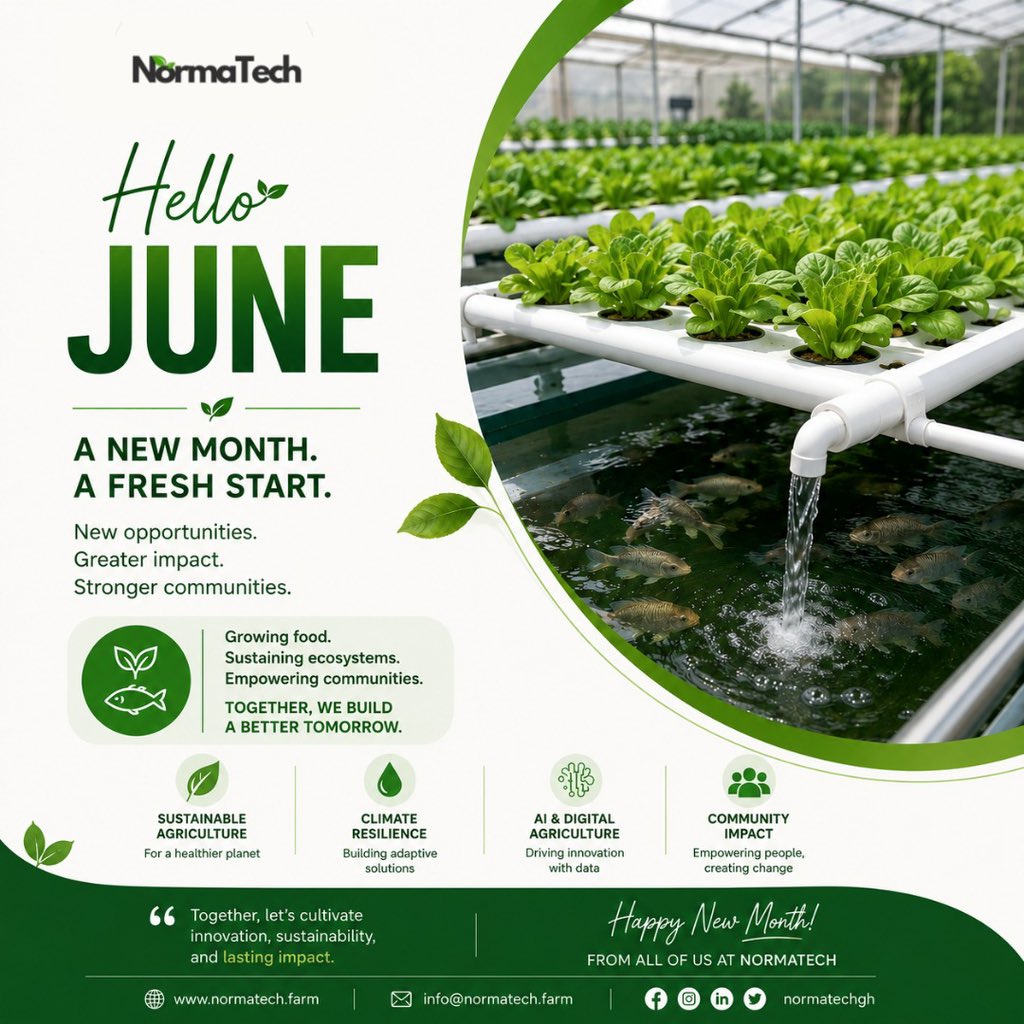 NormaTechgh's tweet photo. Hello June! 

A new month, a fresh start!

Here’s to new opportunities, greater impact, and a better tomorrow together.

Happy New Month

#NormaTechGH #HelloJune #HappyNewMonth https://t.co/p9i71tznBO
