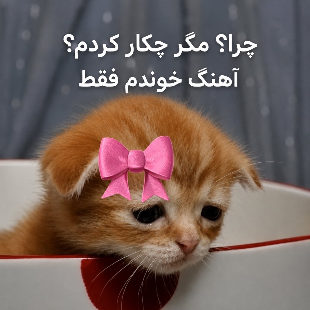 i_matinam's tweet photo. https://t.co/HYsHLGnjvC