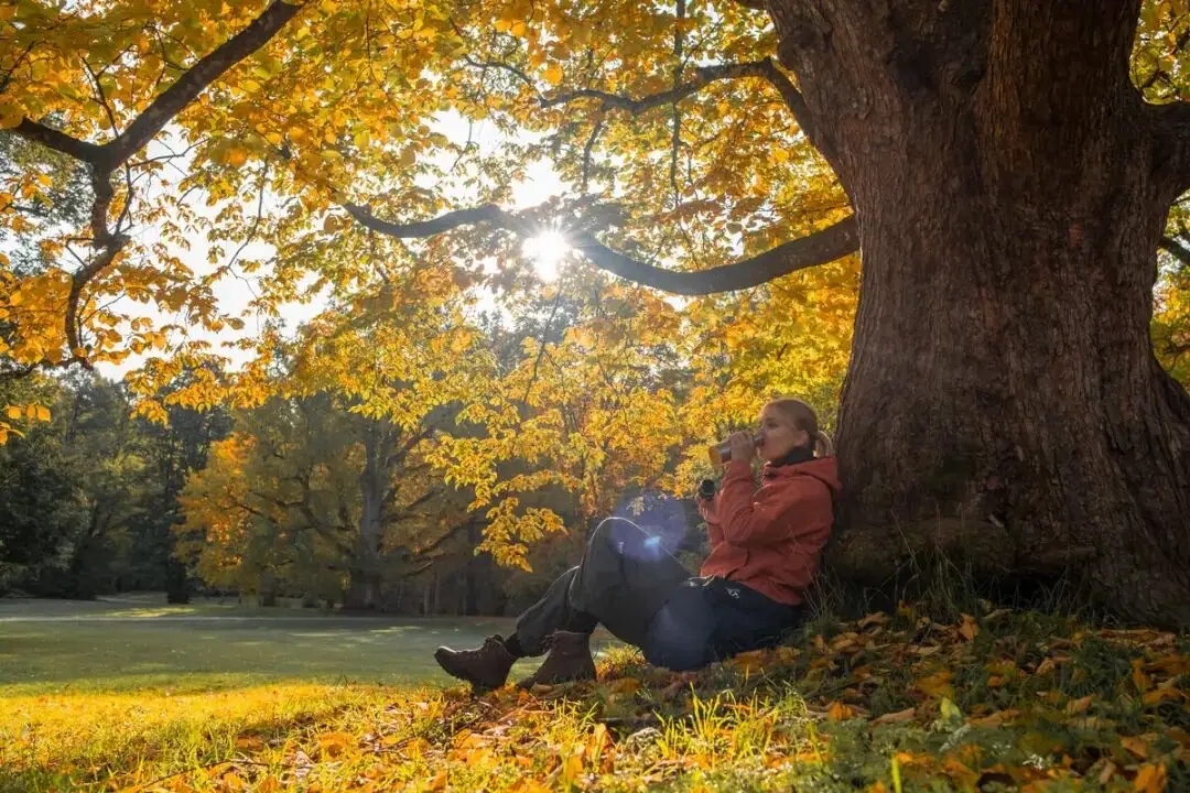 TanyaLastSept's tweet photo. [Sunny autumn breeze + iced latte = perfect Saturday vibe ] https://t.co/NBFzBExdxS