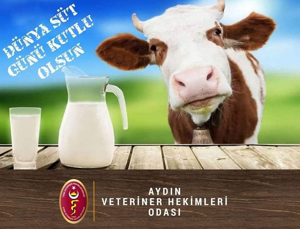 aydinvho's tweet photo. "SÜT HAYATTIR, YERİ ASLA DOLDURULAMAZ"

1 HAZİRAN DÜNYA SÜT GÜNÜ KUTLU OLSUN https://t.co/WYJhBkfWbL