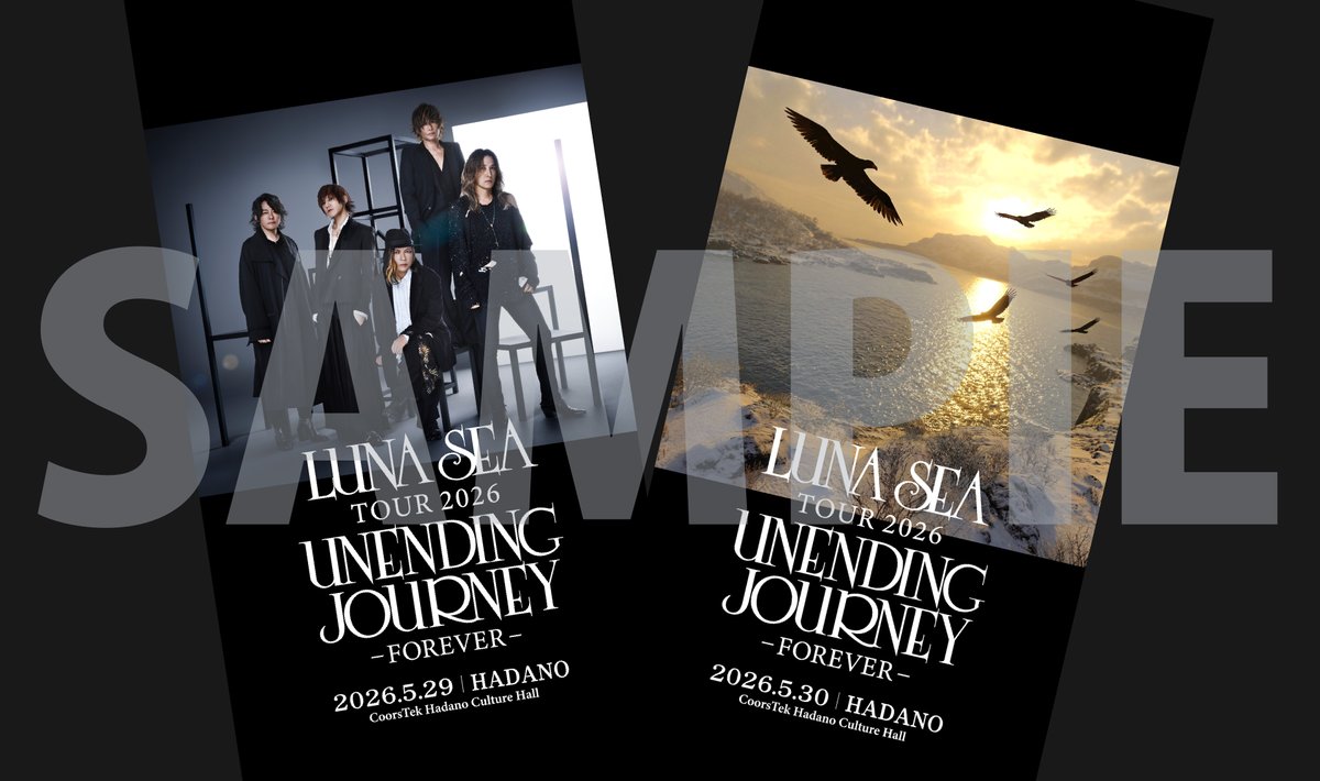 抽選特大ソロ・ポスター5枚組　LUNACY　LUNA SEA 抽選特大ソロ・ポスター5枚組 LUNACY LUNA SEA 抽選特大ソロ・ポスター