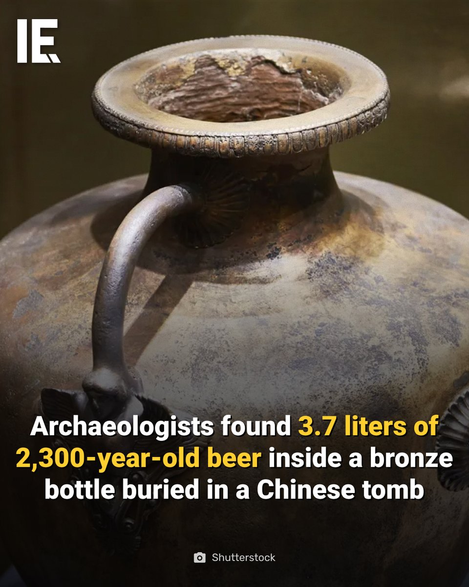 IntEngineering's tweet photo. A bronze bottle containing 3,740 millilitres of liquid was recently excavated from the Shanjiabao cemetery near Guyuan in northern China, just 2 kilometers south of the Great Wall. The tomb dates to the end of the Warring States period (475–221 BCE). Chemical analysis of the liquid identified more than 2,400 organic compounds, while microscopic examination of starch grains, phytoliths, and yeast confirmed it was an alcoholic beverage. The presence of broomcorn millet and Triticeae — wheat or barley — indicated a cereal-based brew rather than a fruit wine, making it closer to beer than anything else. It would not have tasted like any modern beer: the liquid was relatively rich in lactic acid, oxalic acid, and tartaric acid, suggesting a sharp, sour flavour — though that's likely a consequence of sitting sealed in a tomb for two millennia. The bottle, described as having a garlic-shaped mouth, was found among burial goods, suggesting the deceased was sent off with a final drink.

#Archaeology #AncientHistory #China #Beer