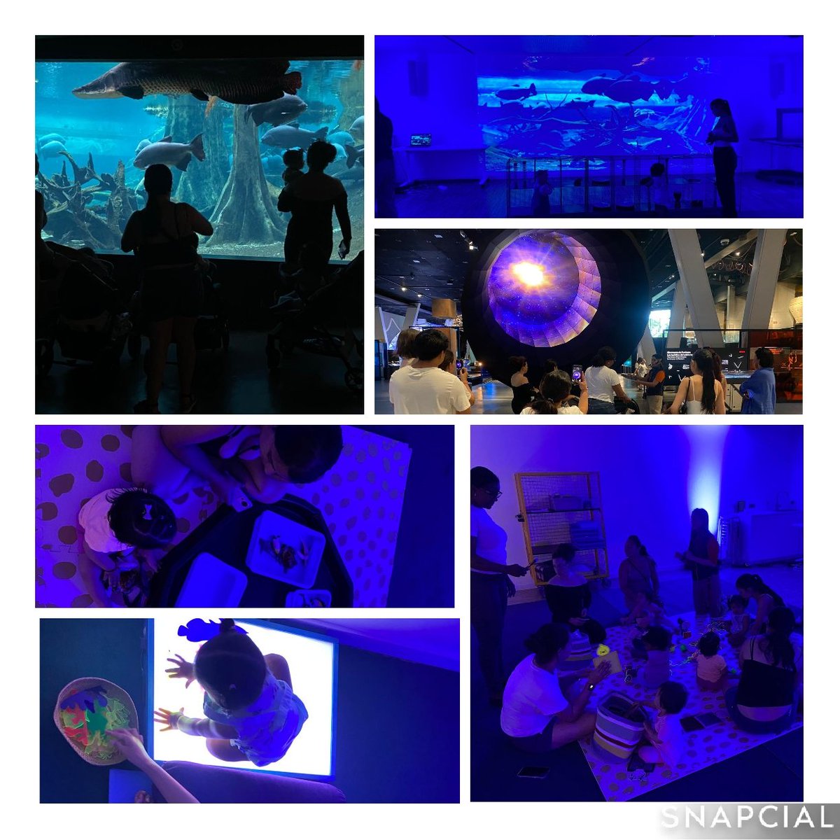preinfant's tweet photo. Para cerrar el curso del Espacio Familiar 0-3 Preinfant @FundlaCaixaCAT  hemos visitado el @CosmoCaixa_CAT. Una mañana para disfrutar de la ciencia, maravillarnos con los peces  y experimentar con nuestras propias manos. Gracias @apropacultura  por hacerlo posible.
@abd_ong https://t.co/hOuFtyk4xU