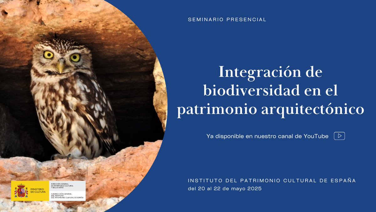 ipcepatrimonio's tweet photo. 📺 Ya en YouTube el curso “Integración de biodiversidad en el patrimonio arquitectónico” (20–22 mayo 2025)

Fauna urbana + rehabilitación del patrimonio con colaboración institucional y formación técnica 🏛️🐦🌿

🔗 Consúltalo aquí: https://t.co/QFL6VAeCC1 https://t.co/fBrOrK9CWf