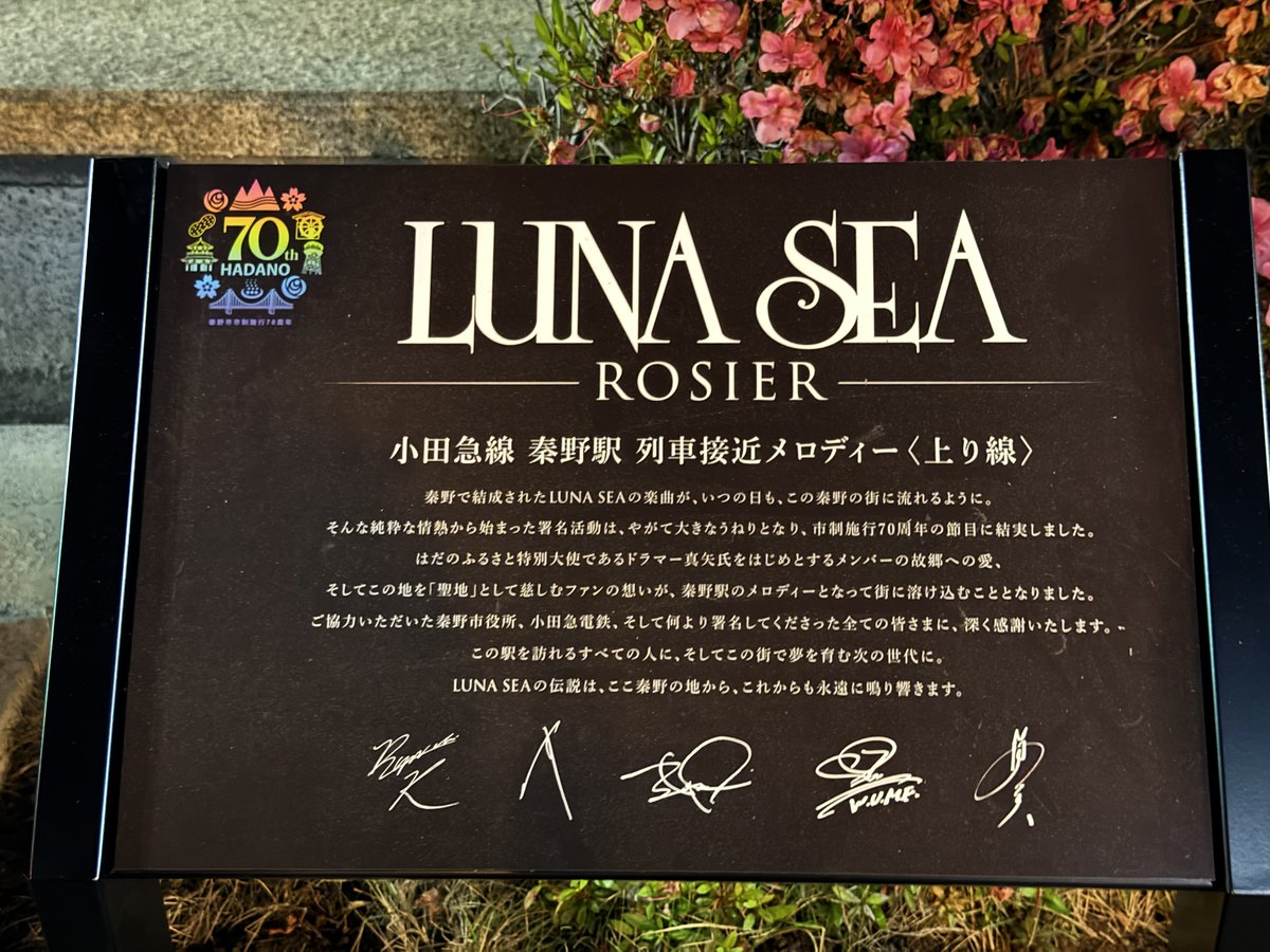 Yayoi SUGIURA | 杉浦弥生 tweet media