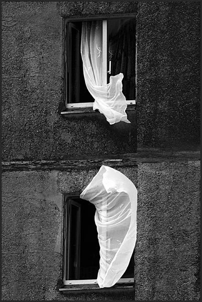mindpeanuts's tweet photo. the wind had left the city
all of it quickly pilfered
wholy stolen from our windows
even our frightened gasps
known as the last bits of it
were taken away
fasted to another planet
where our earthly moans
still in there were folded 
into their alien world's suddenly
stormy grey of howling winds
reminding them of sins

 #FromOneLine