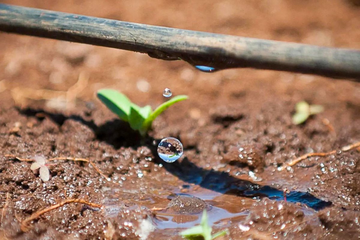 ACSETUganda's tweet photo. Unpredictable rain shouldn't stop our farmers. Climate change has disrupted planting cycles, but under the #SUNRaise Project—supported by Urbis Foundation—waiting for rain is over!
With solar-powered irrigation, reliable water is just a switch away. #SolarEnergy #SmartAgriculture https://t.co/kMdKNqImJx