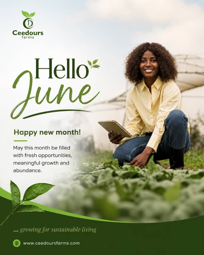 Ceedours_farms's tweet photo. Welcome to the month of June.
Happy new month https://t.co/U7EXYwPfFZ