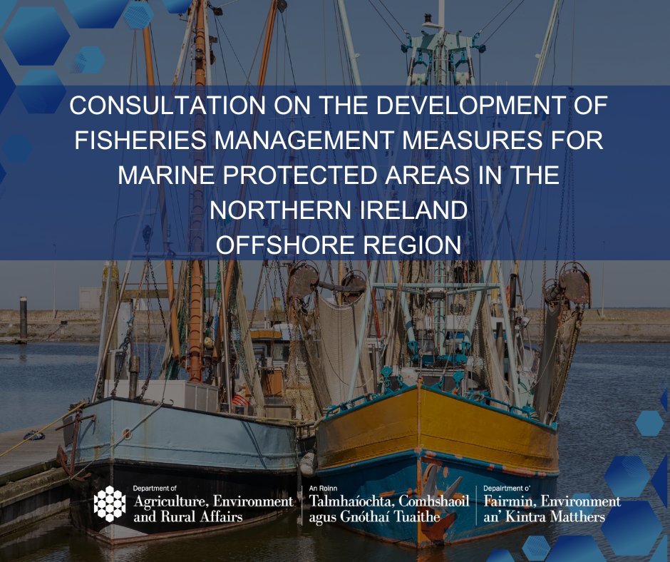 daera_ni's tweet photo. DAERA has today launched a consultation on the development of fisheries management measures to protect conservation areas offshore.

More information: https://t.co/FDAOD43Ivc https://t.co/M5zopaWErJ