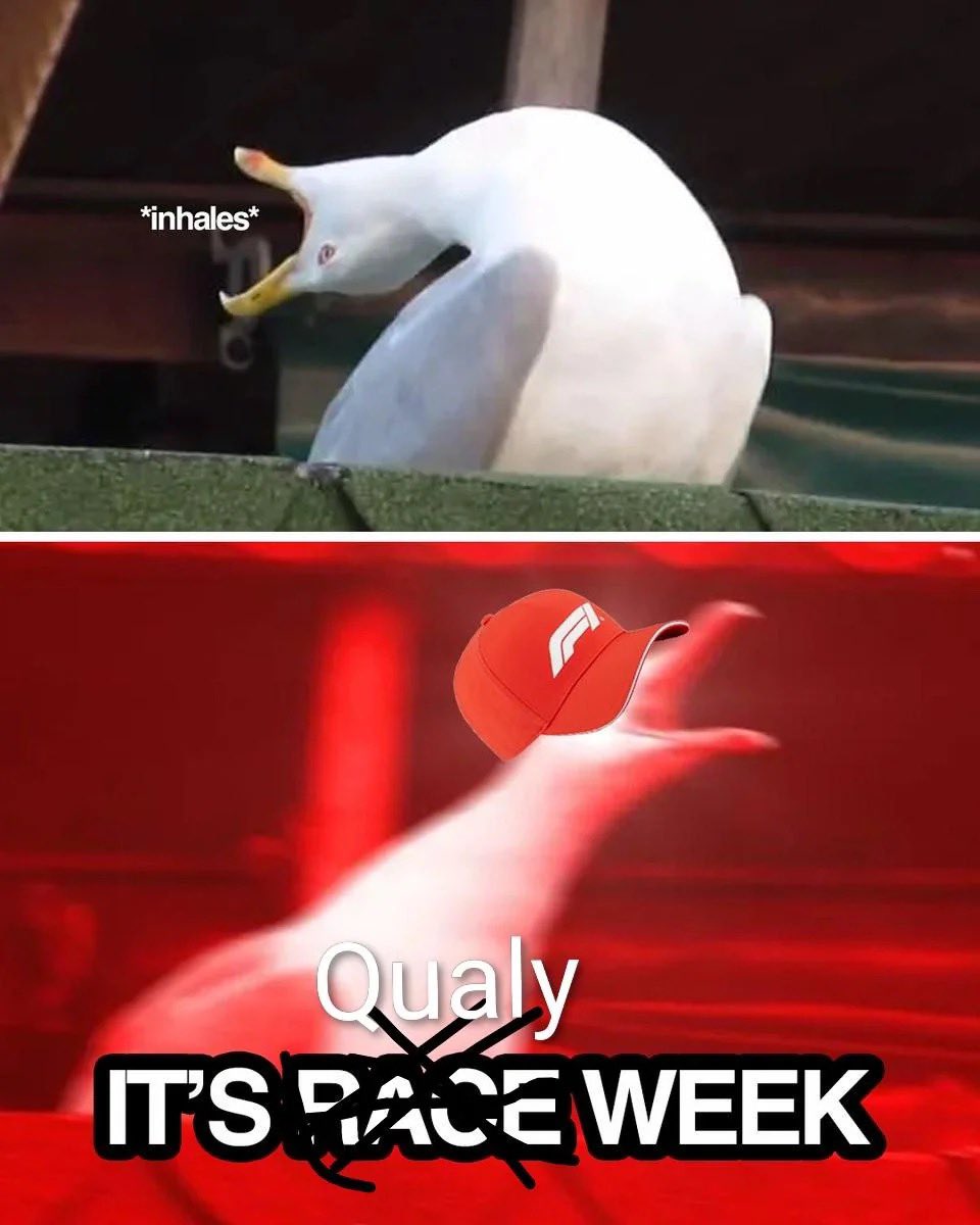 F1 TROLL tweet media