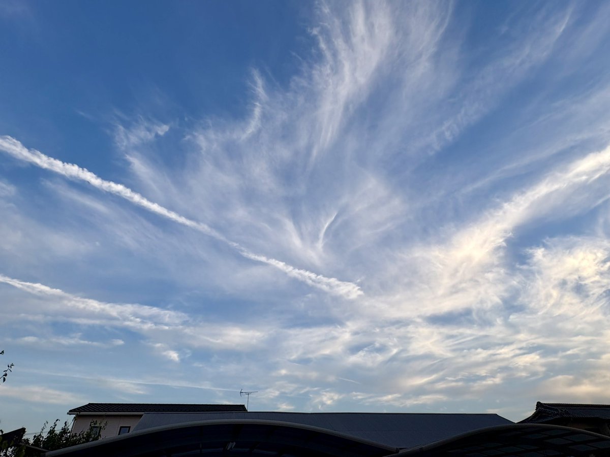 TAki1192816's tweet photo. 18:45頃の夕空

この後焼けるかなぁと思ったら雲がなくなっちゃった😅残念🥺 https://t.co/XCx8xXJhF5