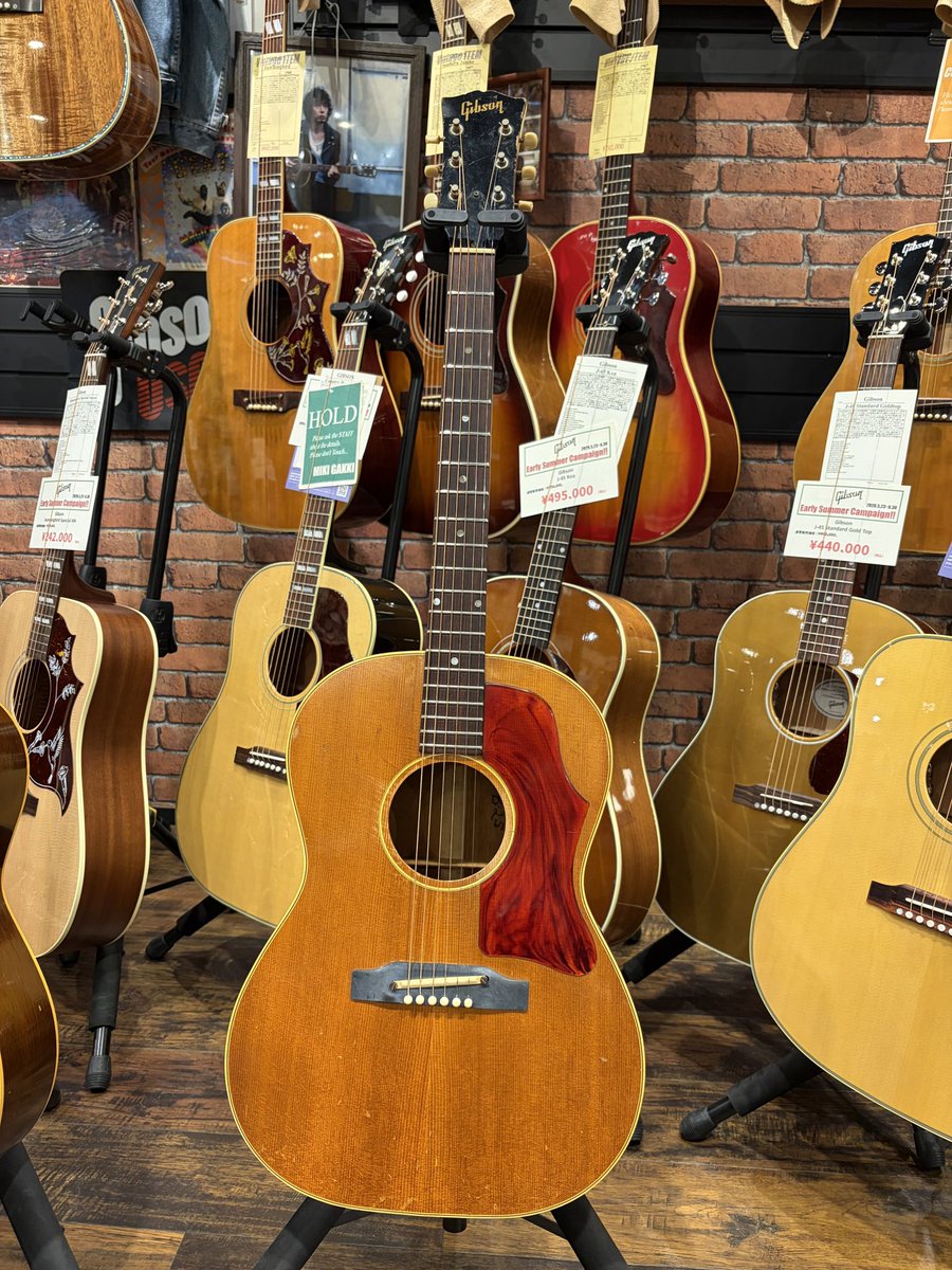 u2me_xp's tweet photo. Gibson 1966 B-25
マトモなアコギを1本も持ってなく、流石に困ることが多くなってきたので思い切って買ってしまった…
個人的に今年は大きな節目だと思ってるところもあって、焦って機材を集めてましたがこれで一旦全てのピースがはまりました。

貯金します！！！ https://t.co/LxYa4KJ4kP