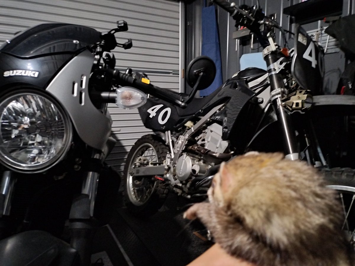 ivy5835's tweet photo. #バイクとフェレット
涼しかったのでガレージを視察して頂きました。 https://t.co/qg7haB7jC0