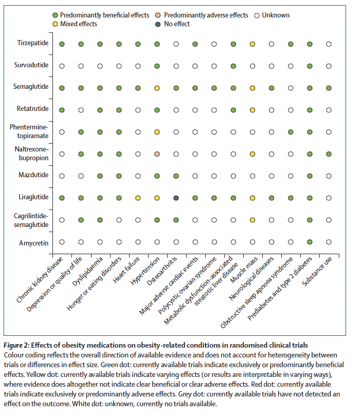 cristinatejerap's tweet photo. "Más allá del peso": nueva revisión en @TheLancetEndo 
sobre los beneficios multisistémicos de los fármacos para la obesidad. 

Los agonistas del GLP-1 mejoran control glucémico, riesgo cardiovascular, hígado, riñón, SAHS o SOP, en parte de forma independiente de la pérdida de peso. 

Imprescindible. 

🔗 https://t.co/PWJiQYjG1j