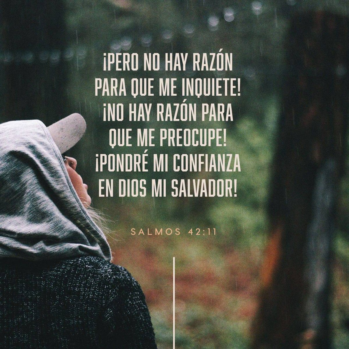 editarods's tweet photo. Buenos Dias!
Salmos 42:11 
¡Pero no hay razón para que me inquiete! ¡No hay razón para que me preocupe! ¡Pondré mi confianza en Dios mi salvador! ¡Solo a él alabaré! https://t.co/Ul00K3eNW2