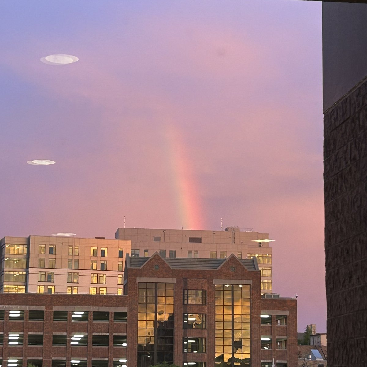 lyvestock's tweet photo. a rainbow on the first day of pride month ! 
#pride https://t.co/53bVOPVmbd