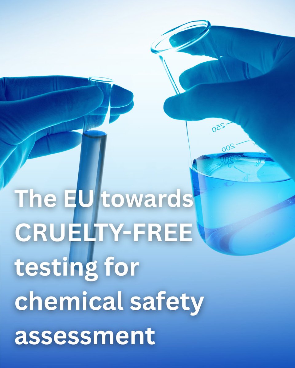 EU_ENV's tweet photo. Moving away from animal testing for chemical safety assessments is not only more ethical - it's also more competitive! 🧪❌🐰

That's why we just published a roadmap with clear, tangible steps to ensure the transition to innovative non-animal approaches 👉 https://t.co/hiv5i1AVkx https://t.co/PEVql5SAmn