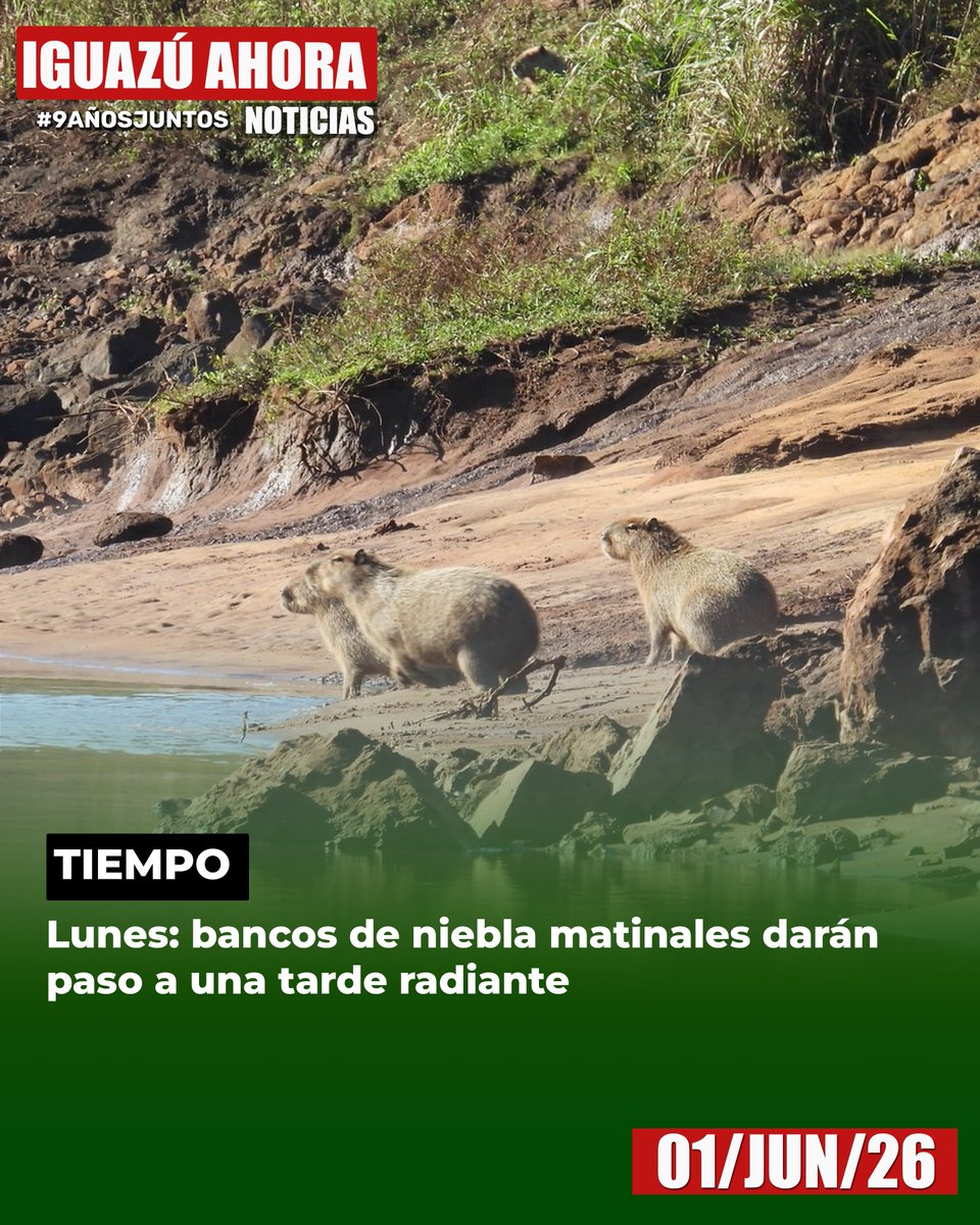 Iguazu Ahora tweet media
