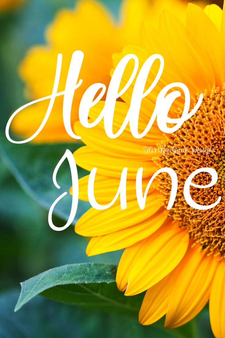 daba137's tweet photo. #helloJune! https://t.co/9djXsaZCtm