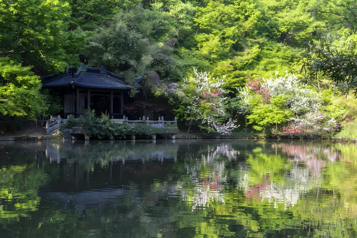 RayHe14's tweet photo. Every view in Nanjing carries its own poetic charm. https://t.co/HH7JI6iQuH
