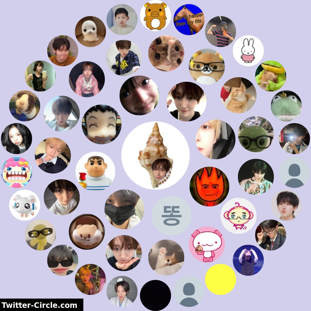 고둥 tweet media