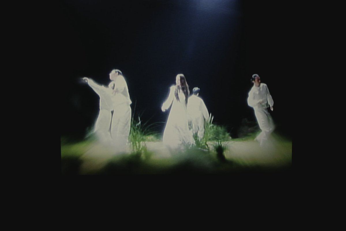 제트별 tweet media