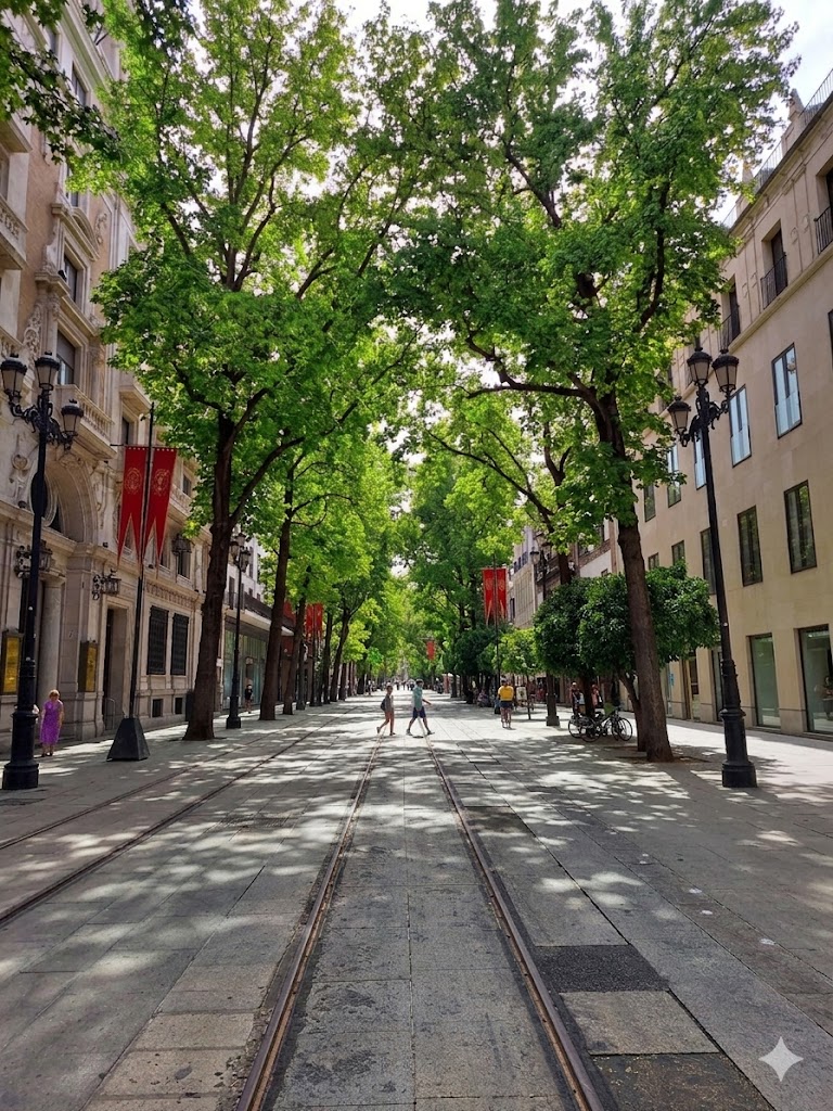 Alsaltxe's tweet photo. Lo maravillosa que quedaría la Av de la Constitución con maravillosos árboles de sombra de hoja caduca como liquidámbares. Sombra en verano, un increíble espectáculo visual en otoño, en invierno sin hojas dejando pasar el sol y con una iluminación navideña preciosa!! 🤩🤩🤩 https://t.co/xVQgwVcnF8
