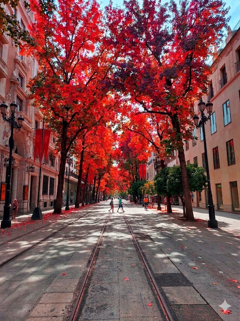 Alsaltxe's tweet photo. Lo maravillosa que quedaría la Av de la Constitución con maravillosos árboles de sombra de hoja caduca como liquidámbares. Sombra en verano, un increíble espectáculo visual en otoño, en invierno sin hojas dejando pasar el sol y con una iluminación navideña preciosa!! 🤩🤩🤩 https://t.co/xVQgwVcnF8