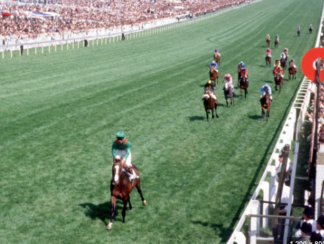 betmaster_uk's tweet photo. “The thoroughbred exists because its selection has depended, not on experts, technicians or zoologists, but on a piece of wood: the winning post of
the Epsom Derby.”     Federico Tesio 

This Saturday.......🏇 🎩  🏆 https://t.co/FbaCtcbpYb