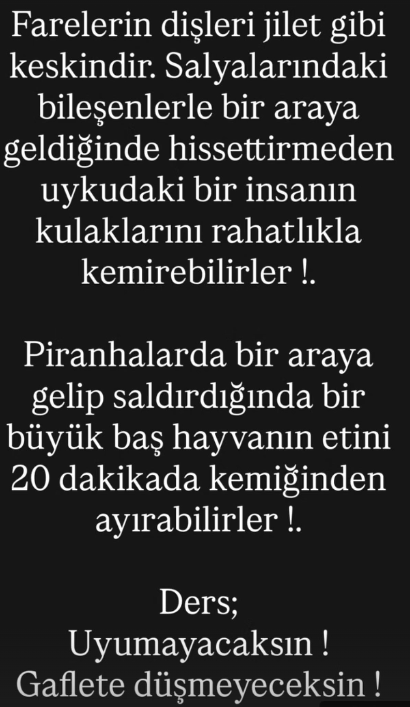 Ahmetrn1's tweet photo. . https://t.co/Kx02sYyOkf
