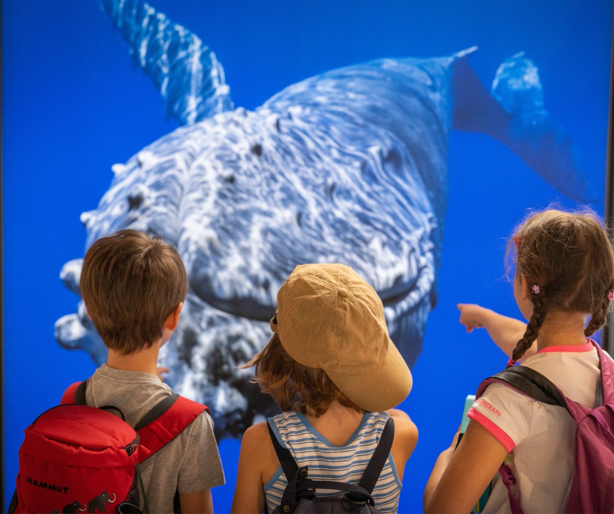 ComuneMI's tweet photo. 🦎🦋La natura ha veri superpoteri!
Al Discovery Campus del Museo di Storia Naturale, bambine e bambini potranno esplorare il mondo degli esseri viventi attraverso laboratori, visite guidate e attività scientifiche.
🗓️Dal 9 giugno, iscrizioni settimanali
ℹ️https://t.co/3uJo5Y2AyC https://t.co/XkqsRCOTTV
