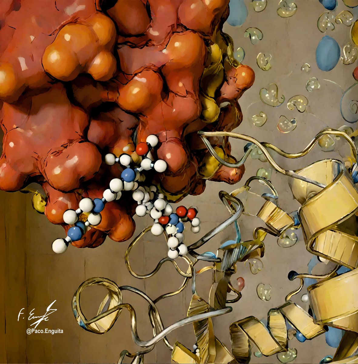 fenguita's tweet photo. Crystal structure of the tri-complex of #Daraxonrasib (RMC-6236), NRAS WT, and CypA (PDB code: 9BG0) #scivis #molecularart @dzine_ai @proteinimaging
https://t.co/Nh5DjmW5Pi https://t.co/Kzx6blxA8e