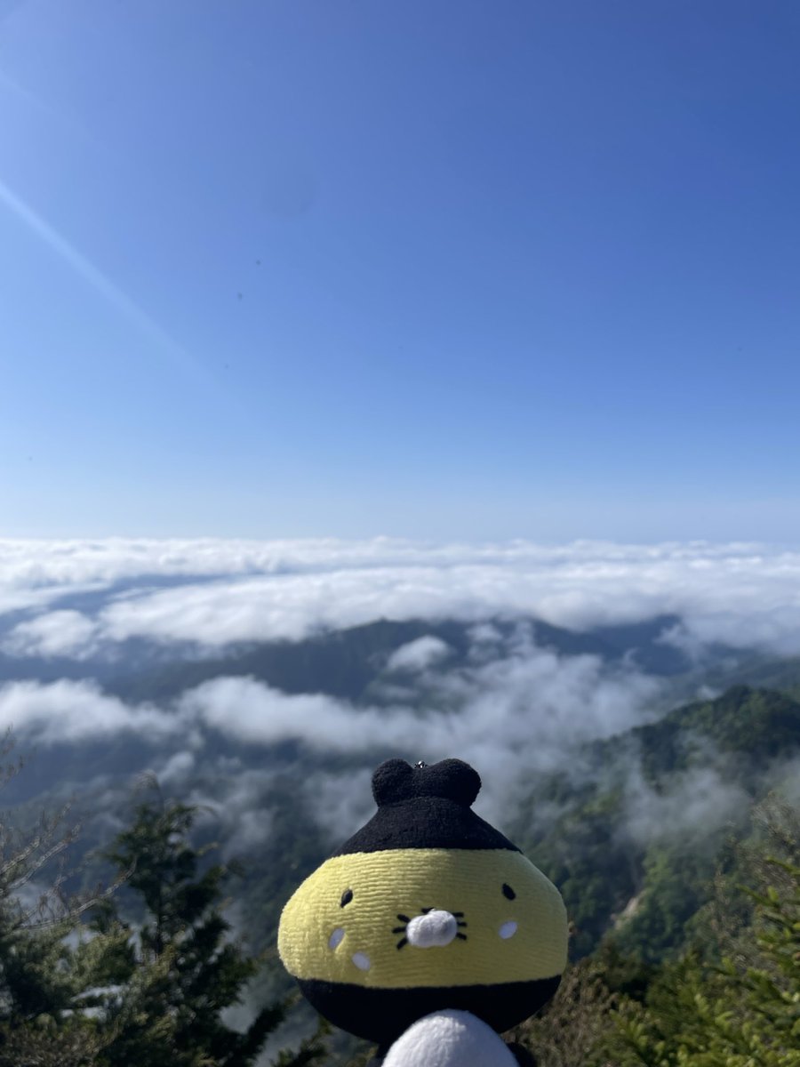 Movingrock6V's tweet photo. すみませんしばらくデジタルデトックスしてました。
おかげさまで熊野本宮〜金峯山寺までの大峯奥駈を満行しました。
分かりやすく言うと、お祈りしながら山の中を100キロ歩いてきました。 https://t.co/C4t3N51c8A