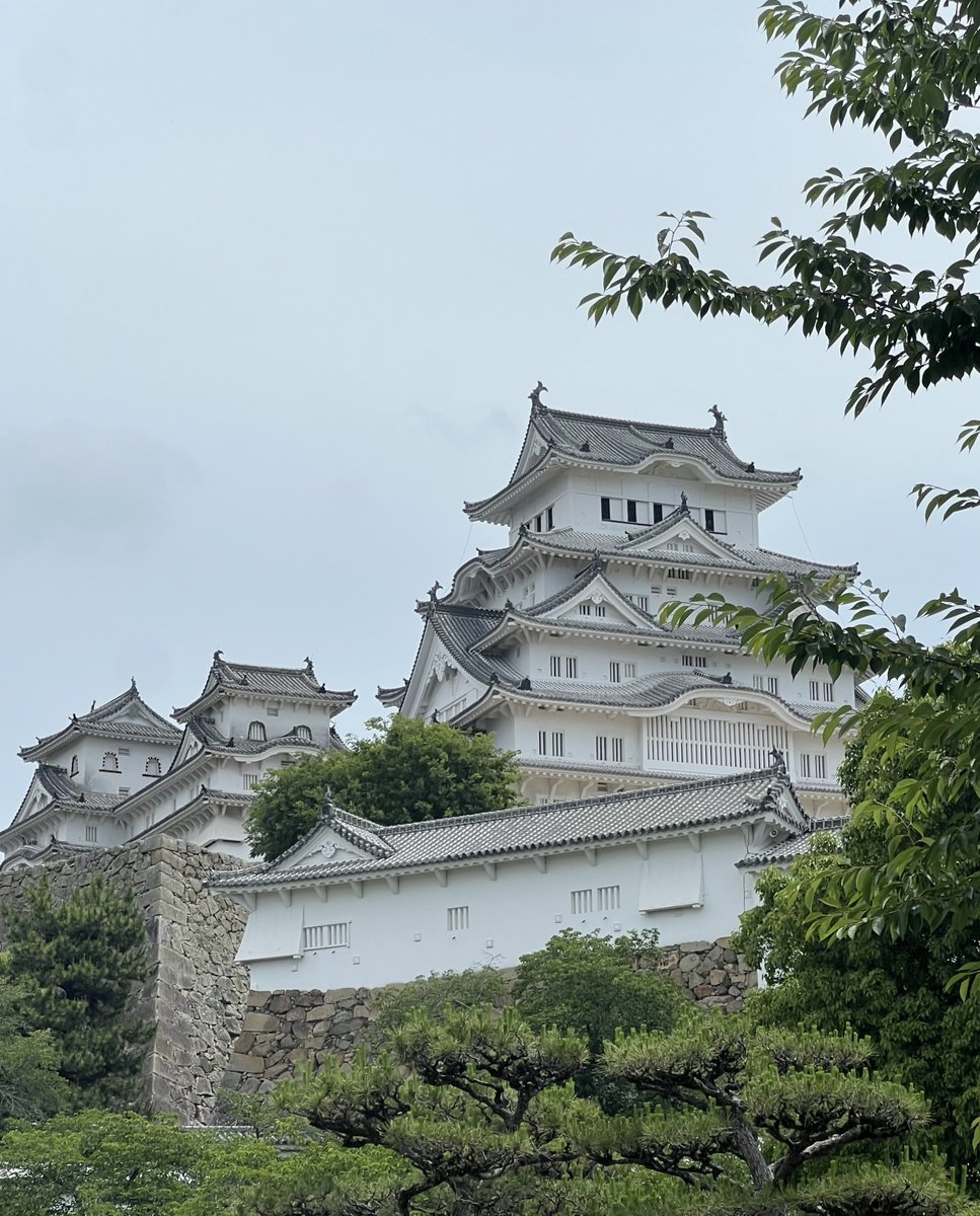 koian2023's tweet photo. 🇯🇵 #HimejiCastle #白鷺城 #NationalTreasure #WorldHeritage
#姫路城 のお献茶式へ参りました。
お天気にも恵まれ、お城を吹き抜ける���然の風がとても心地よく感じられました。
お着物で登城したのは初めてで、裾を持ち上げて、なかなかハードでございました。
今日は朔日✨
大きな榊でお祓いもしていただき、ありがたいことでございます。
明日からの台風が、どうか何事もなく通り過ぎてゆきますように🌀