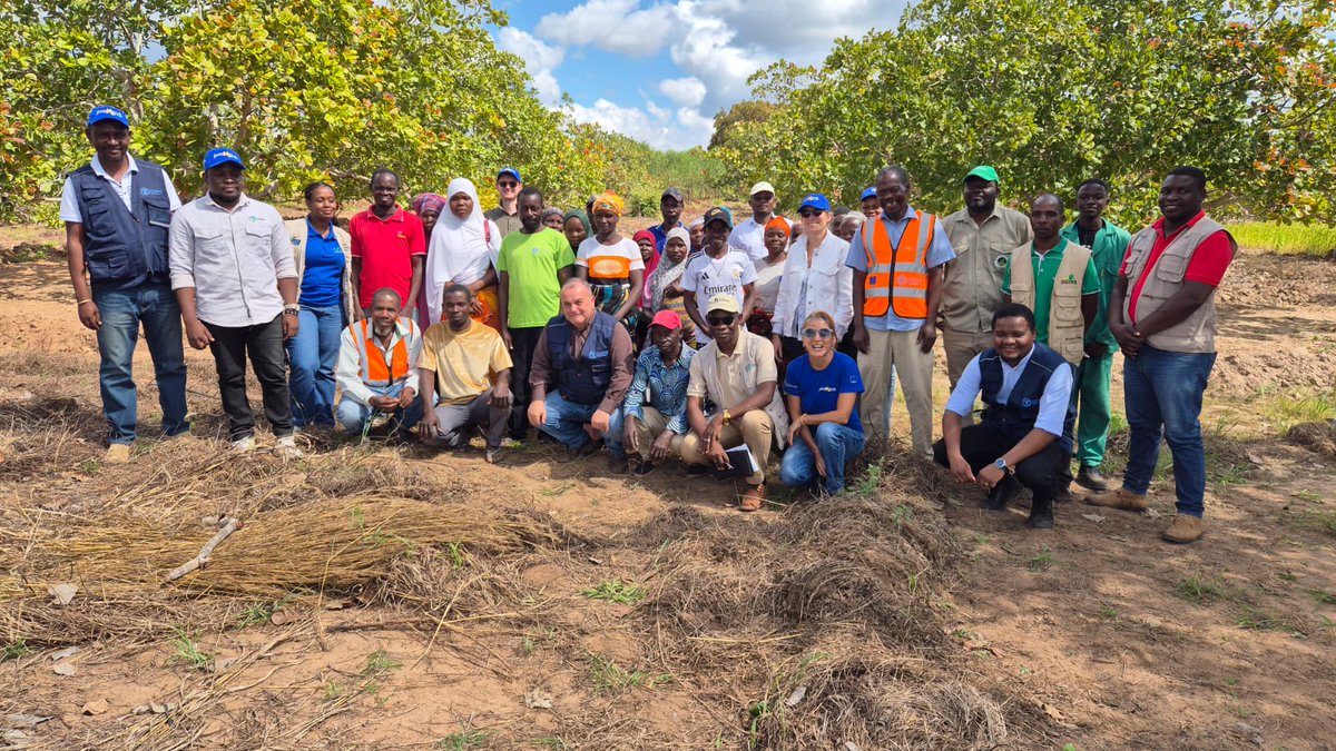 FAOMozambique's tweet photo. The #PROMOVEAgribiz monitoring mission in Nampula concluded after field visits with Govt, #EU, @FAO, #WB, &amp; #IFAD, assessing progress of activities &amp; discussing synergy opportunities with stakeholders operating in the region 📈📑🟡 https://t.co/vPAyjylkkv