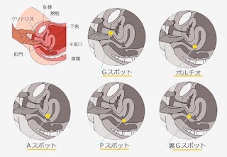 yariyari6699's tweet photo. 【知らないと損】
覚えておきたい女の子が死ぬほど快感の絶頂スポット https://t.co/sz6sfZhSuK