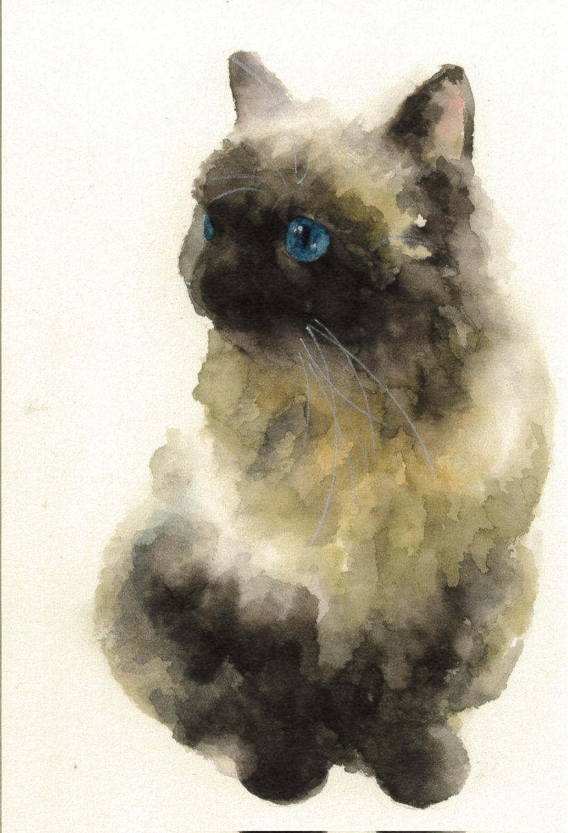 yuki_furasi's tweet photo. 初めて絵で万バズしたのが純粋に嬉しいです🙏たくさん見てくださってありがとうございます✨

普段は風景や人物を中心に描いていますが、猫ちゃんは時々息抜きで楽しく描いています🐾
#水彩画 https://t.co/eBOE48vkZF