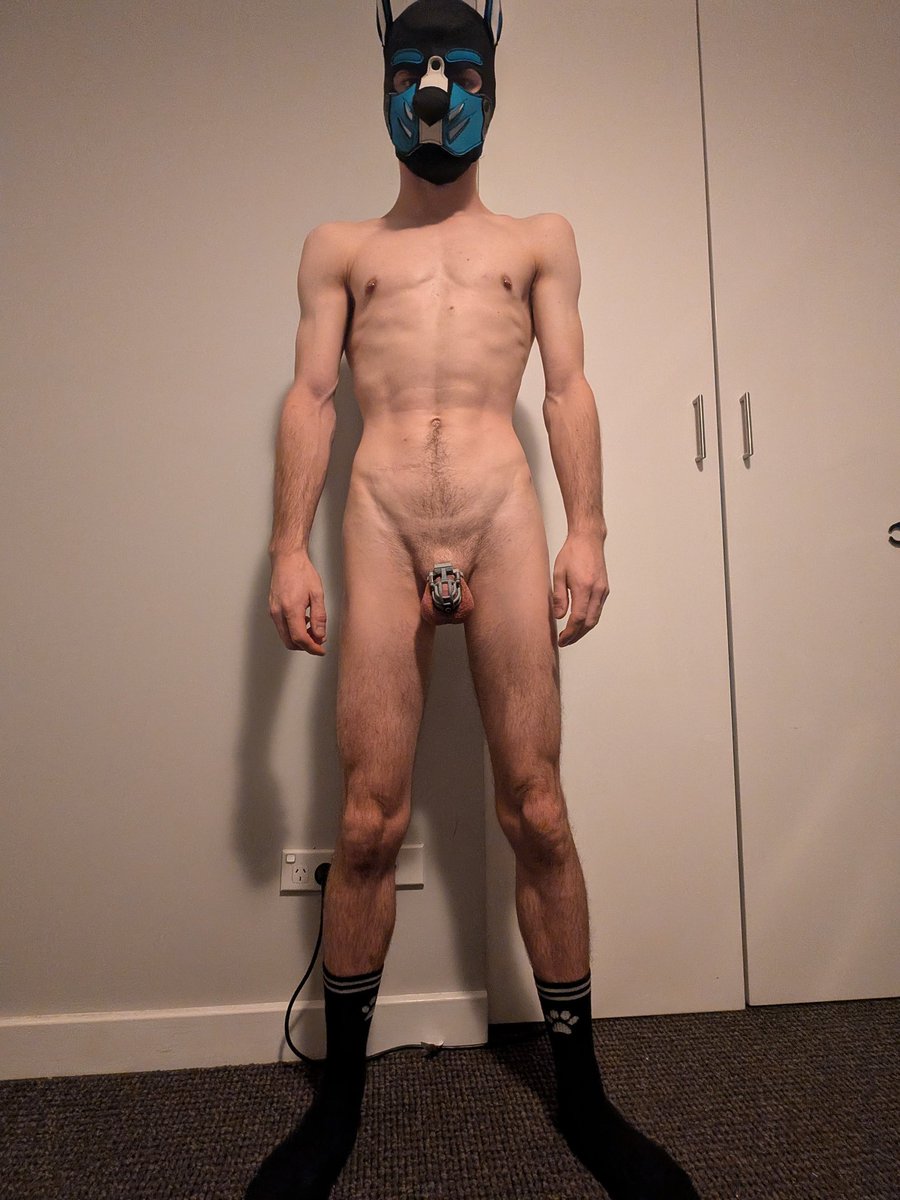 RubberPupCobalt's tweet photo. My new test cage arrived from @ParadiseCages. Went for a more open design to aid with keeping it clean easier. Cannot recommend them enough if you have a pa and want a cage that works with you instead of against you. Planning to go for titanium if no issues arise in the next week https://t.co/4YkQOPCWjr